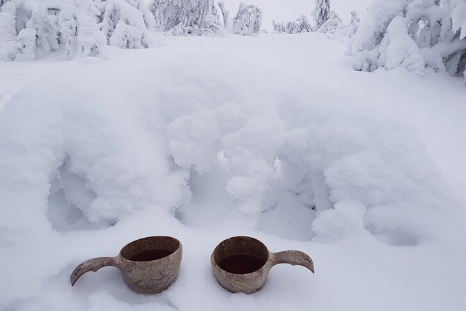 Guided Reindeer Farm Visit and One Hour Sledge Safari - Cancellation Policy and Weather Requirements