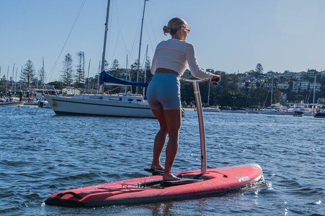 Guided Step-Up Paddle Board Tour of Narrabeen Lagoon - Inclusions Provided