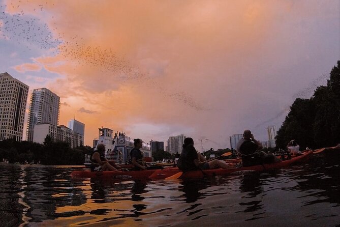 Guided Sunset Bat Kayak Tour in Austin - Traveler Experience