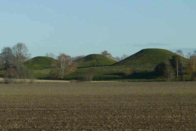 Guided Tour 90min at Old Uppsala Mounds and Old Uppsala Church - Insider Tips for Exploring Old Uppsala