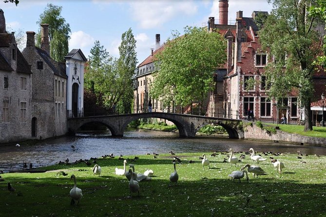 Guided Tour of Bruges - Reviews and Ratings Overview