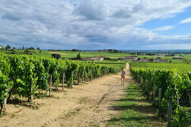 Guided Tour of the Vineyard of Saint Emilion on Foot - Cancellation and Refund Policy