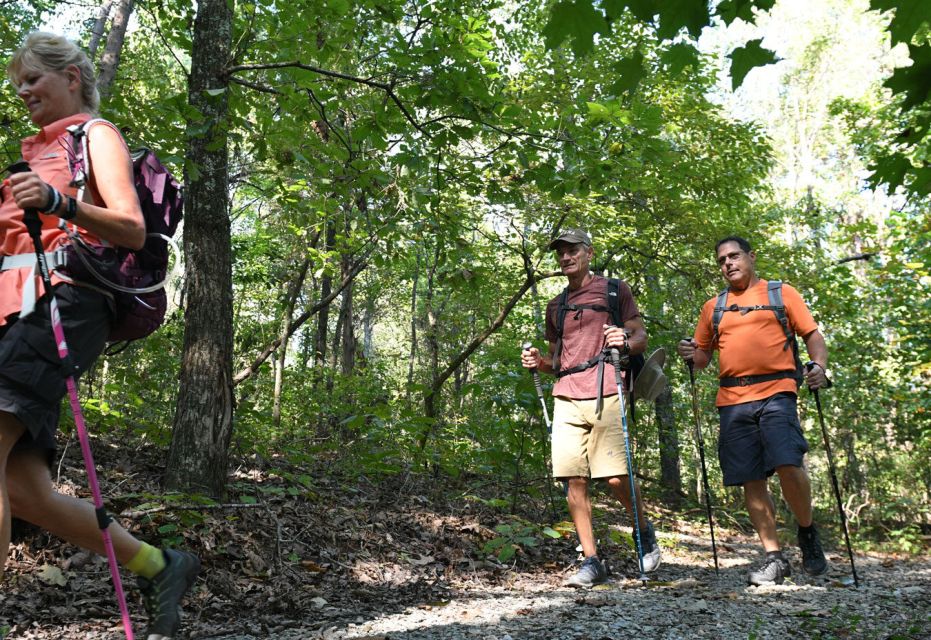 Guided Village Walk With Stories in Dharamsala - Inclusions