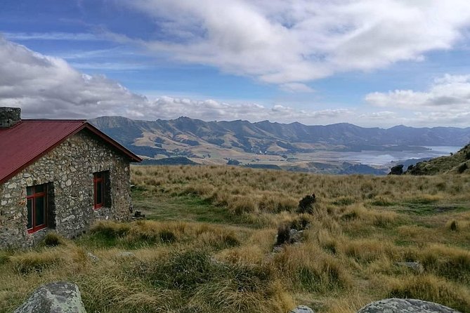 Guided Walk & Scenic Drive From Christchurch- Port Hills & Packhorse Hut - Guided Walk to Packhorse Hut