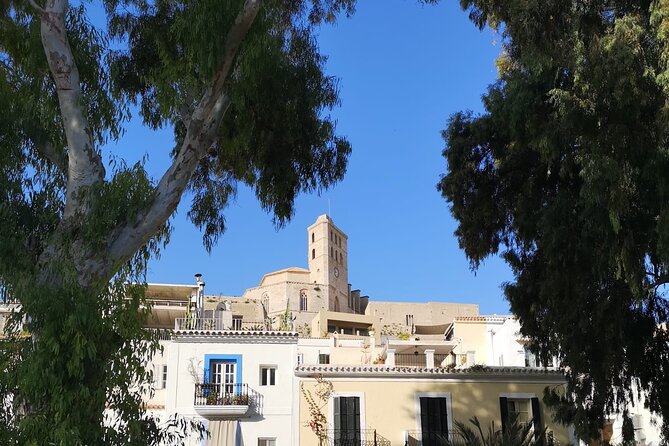 Guided Walking Tour in Dalt Vila and Art Workshop - Meeting Point and Logistics