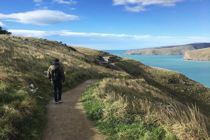 Guided Walking Tour & Scenic Drive Form Christchurch - Lyttelton & Godley Head - Questions