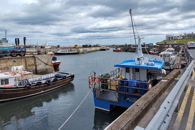 Guided Walks and Tours, Seahouses, Beadnell & Bamburgh - Reviews and Additional Information