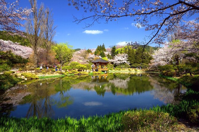 Gyeongju Maple Tour From Busan - Inclusions and Exclusions