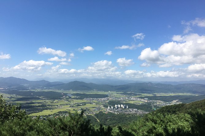 Gyeongju UNESCO World Heritage Tour Including Bulguksa From Seoul by KTX Train - UNESCO World Heritage Sites