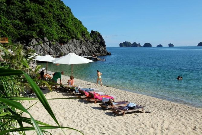 Ha Long Bay Full-Day Tour  - Hanoi - Customer Reviews and Feedback