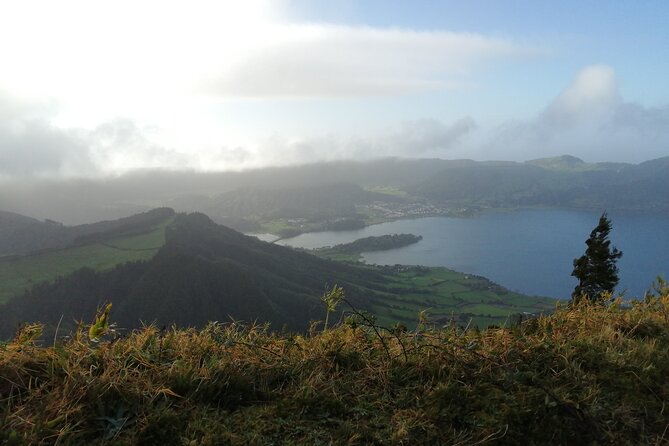 Half-Day 4x4 Tour to Lagoa Das Sete Cidades - Local Wildlife Observations