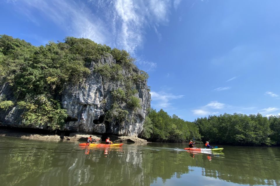 Half Day Adventure Kayaking at Mangrove Forest - Activity Inclusions