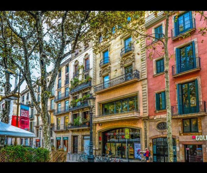 Half Day Barcelona Bus Tour - Tour Description