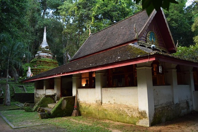 Half Day Doi Suthep Temple and Palad Temple (Private Tour) - Morning Tour Option