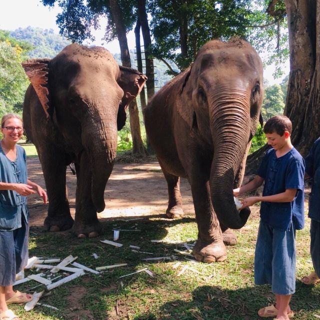 Half Day Elephant Care - Timing Details