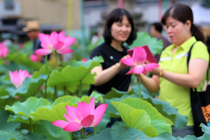 Half-Day Excursión Lotus Flowers and Local Foods From Busan - Lotus Flower Experience