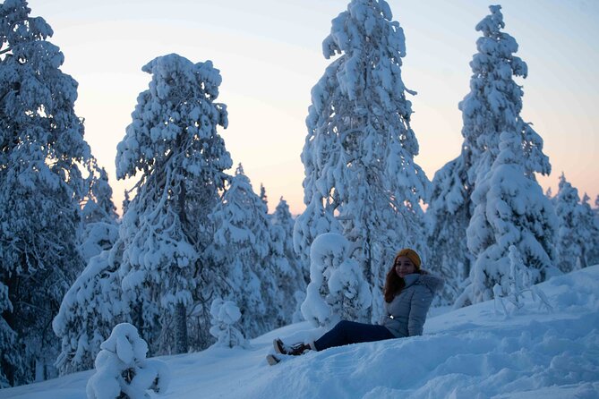 Half Day Guided Tour in the Wilderness of Levi - Weather and Travel Requirements