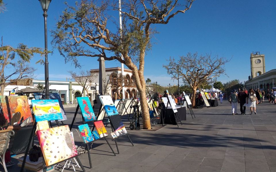 Half-Day Guided Tour San José Del Cabo: Art & Beer Tasting - Demonstrations and Inclusions