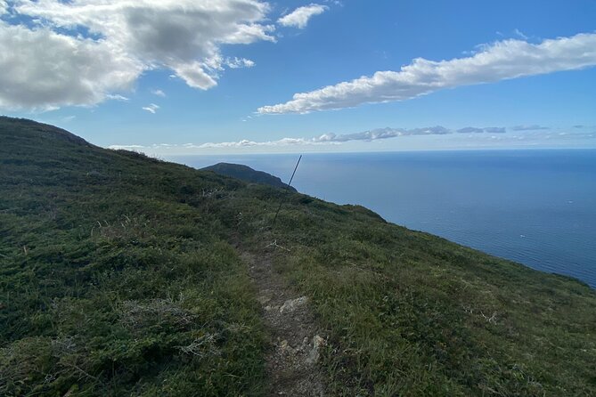 Half Day Hike Blow Me Down Mountain - Experience Expectations