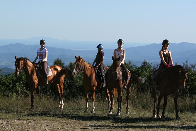 Half-Day Horseback Ride in Tuscany for Beginner Riders - Safety Measures