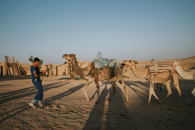 Half Day in Agafay Desert With Camel Ride, Quad Biking and Dinner Nomad Tent - Contact Details