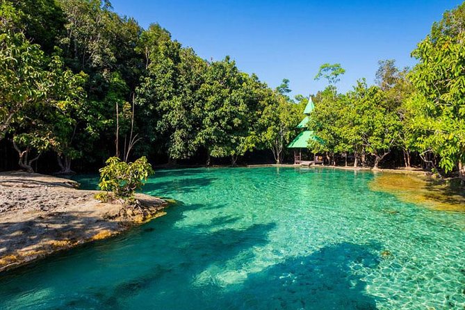 Half Day Jungle Tour to Emerald Pool and Krabi Hot Spring - Logistics and Scheduling