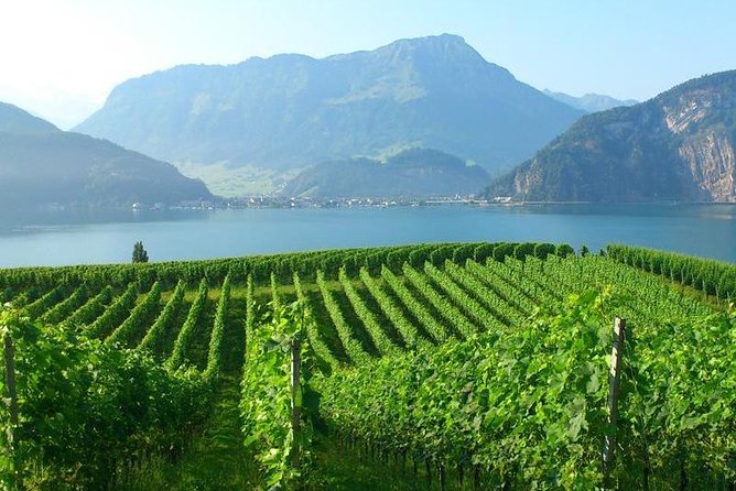 Half-Day Lake Lucerne Country Walk - Tour Guide and Group Size