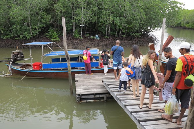 Half Day Mangrove by Kayaking or Longtail Boat From Koh Lanta - Mangrove Wildlife Encounters