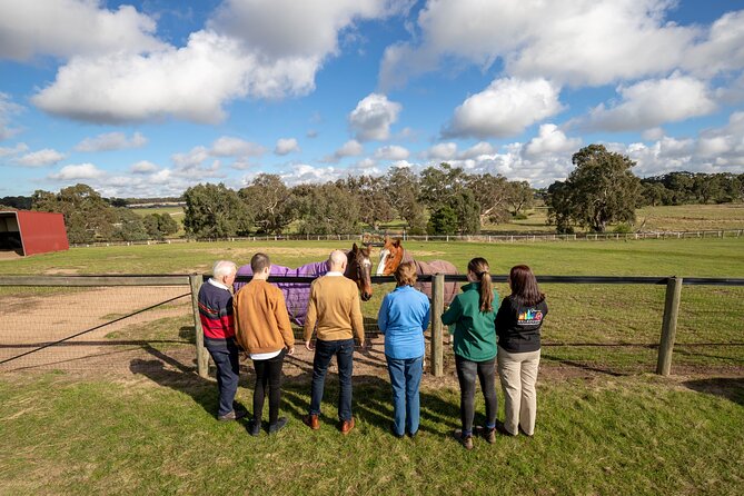 Half-Day Melbourne Racehorse Encounter - Additional Information