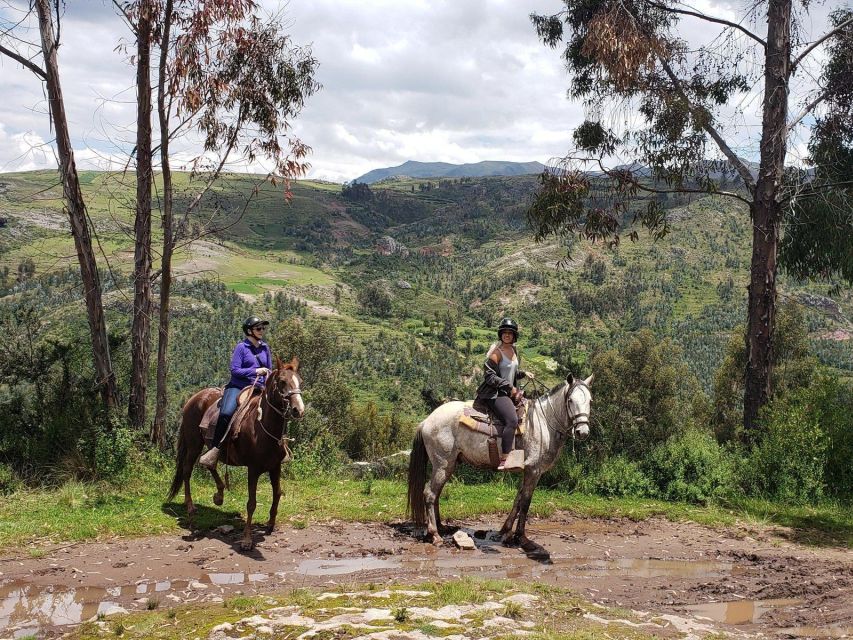 Half Day : Mountain Ride on Horseback - Inclusions