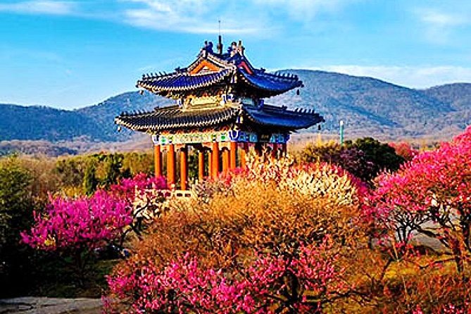 Half-Day Nanjing Purple Mountain Private Tour in Your Way - Key Attractions