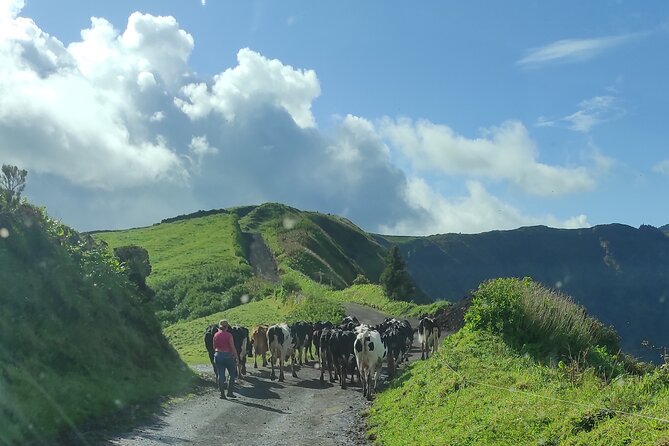 Half Day Off Road Tour in Azores - Tour Reviews Analysis