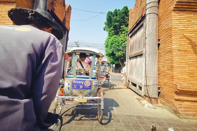 Half Day Private Chiang Mai Trishaw Ride and Mae Ping River Cruise - Included Activities