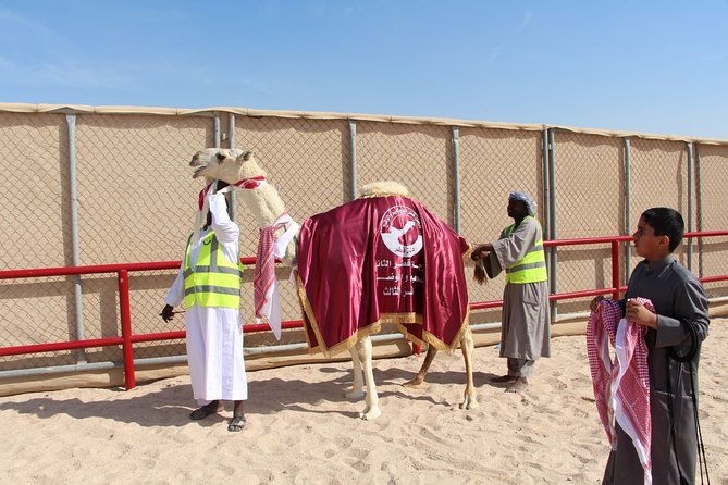 Half-Day Private Guided Camel Race Tour in Qatar - Additional Information
