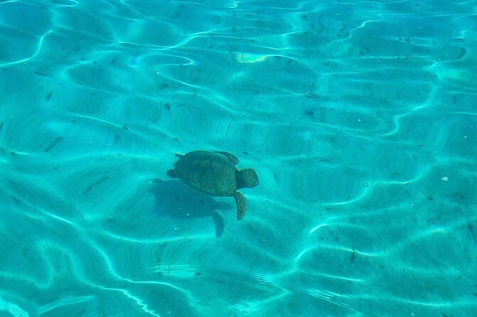 Half-Day Private Lagoon Tour by Boat in French Polynesia - Snorkeling Opportunities