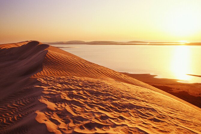 Half-Day Private Safari Tour With Camel Ride, Dune Bashing, Star Gazing - Common questions