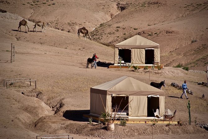 Half-Day Private Tour in Agafay Desert With Dinner - Additional Offerings