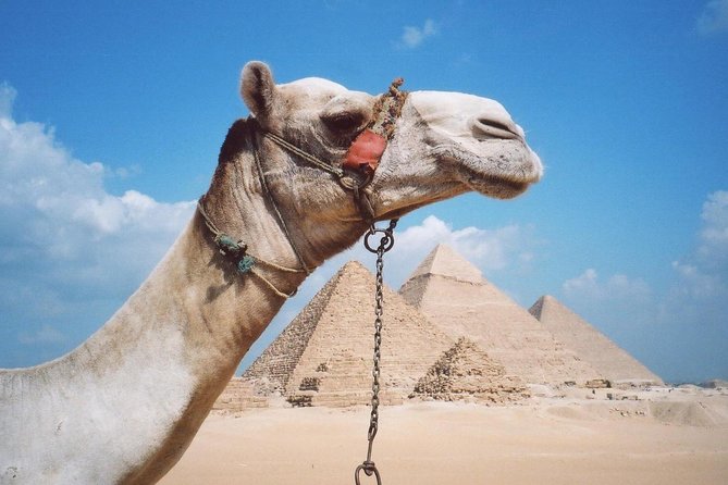 Half-Day Private Tour to Pyramids of Giza and Sphinx - Customer Experiences and Reviews