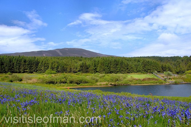 Half Day Private Tours of the Isle of Man With a Qualified Driver Guide - Additional Information