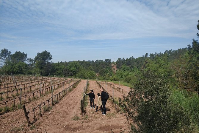Half Day Private Wine & Oil Tasting Tour Near Barcelona With Hotel Pick up - Booking Information