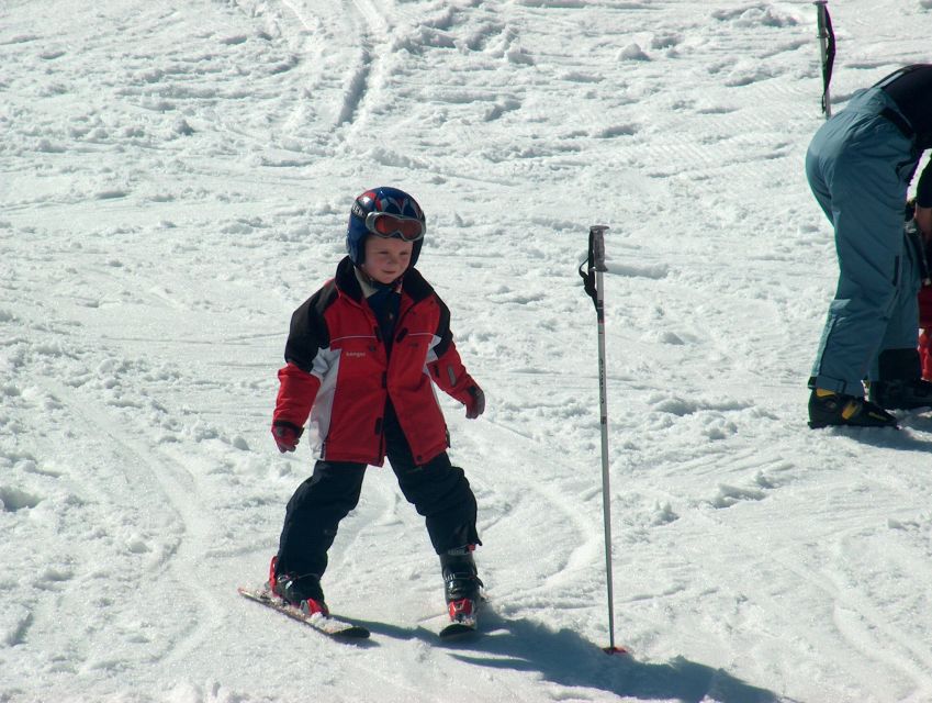 Half-Day Skiing With Instructor in Vogel Ski Center - Experience Highlights