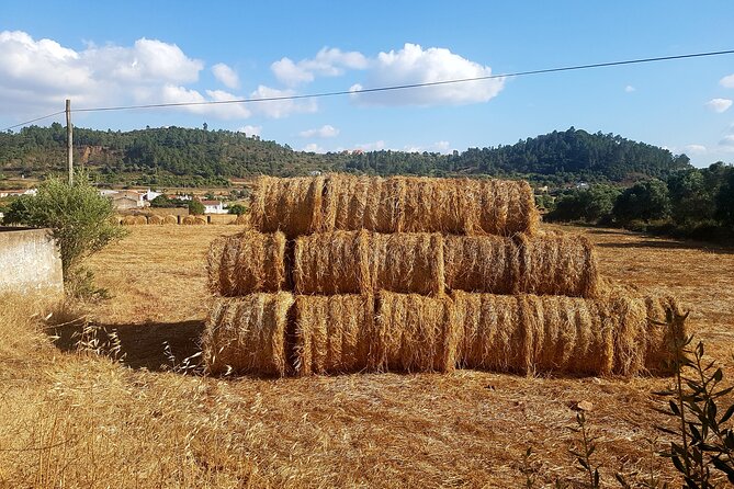 Half-Day Small-Group E-Bike Tour of Rural Algarve With Lunch - Booking Information