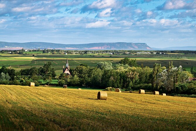 Half-Day Small-Group Tour of Annapolis Valley - Customer Reviews