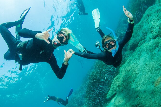 Half Day Snorkelling Course - No Previous Experience Needed! - Provider Information