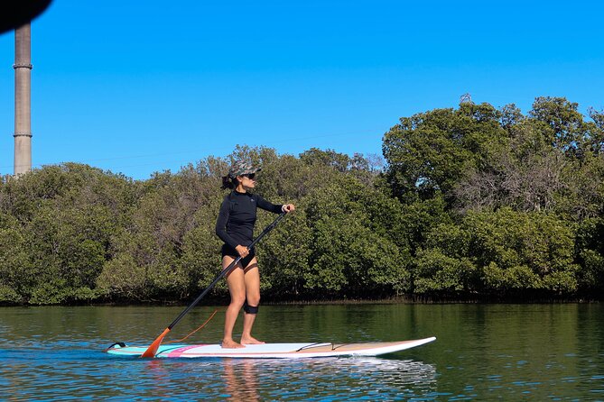 Half-day Stand Up Paddle Tour of Stockholm. - Paddle Experience Highlights