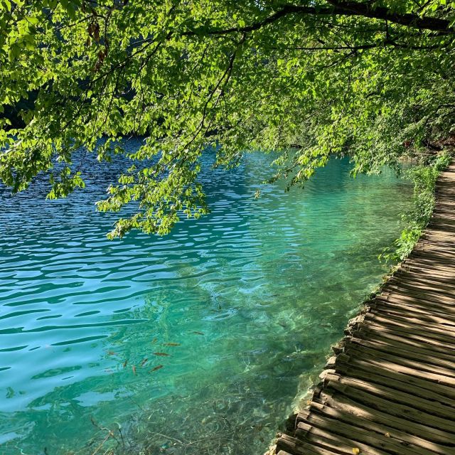 Half Day Tour Around Plitvice Lakes - Participant Information and Reviews