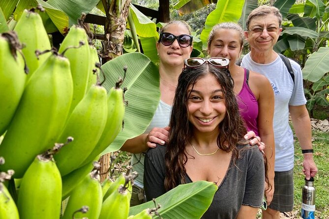 Half Day Tour Cacao Farm & Guayaquil City a Perfect Combination.. - Guayaquil City Exploration