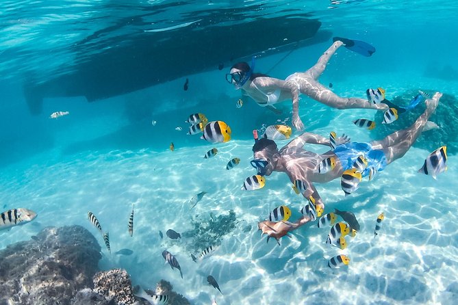 Half Day Tour : Moorea Snorkeling & Sailing on a Catamaran Named Taboo - Snorkeling and Refreshments
