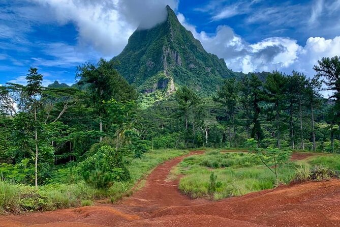 Half-Day Tour of Moorea Island in a Small Group - Additional Information