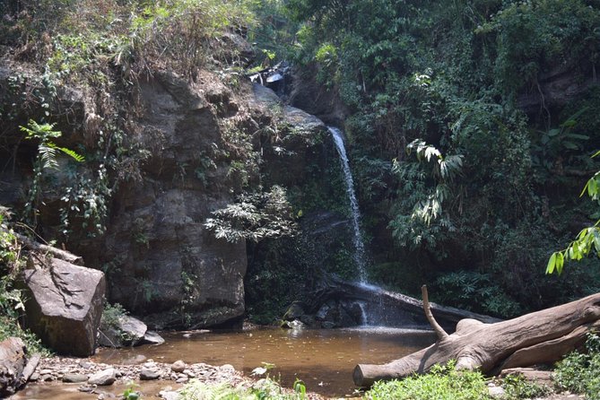 Half Day Trekking Doi Suthep - Pui National Park Area (Private Tour) - Cancellation Policy